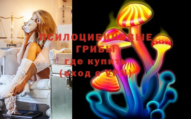 Псилоцибиновые грибы Psilocybine cubensis  ОМГ ОМГ маркетплейс  Боровск  как найти закладки 